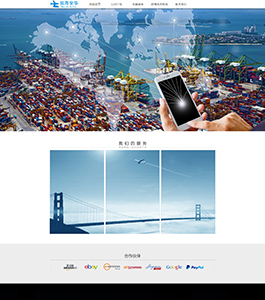 某某供应链服务公司案例 某某供应链服务公司案例